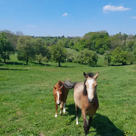 Dom wakacyjny La Petite Maison